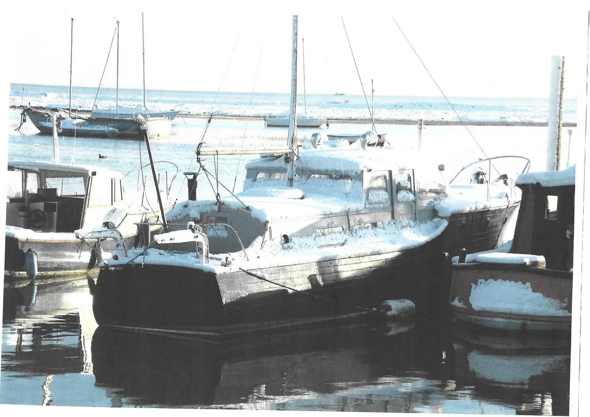Gerfalcon gallery image 4